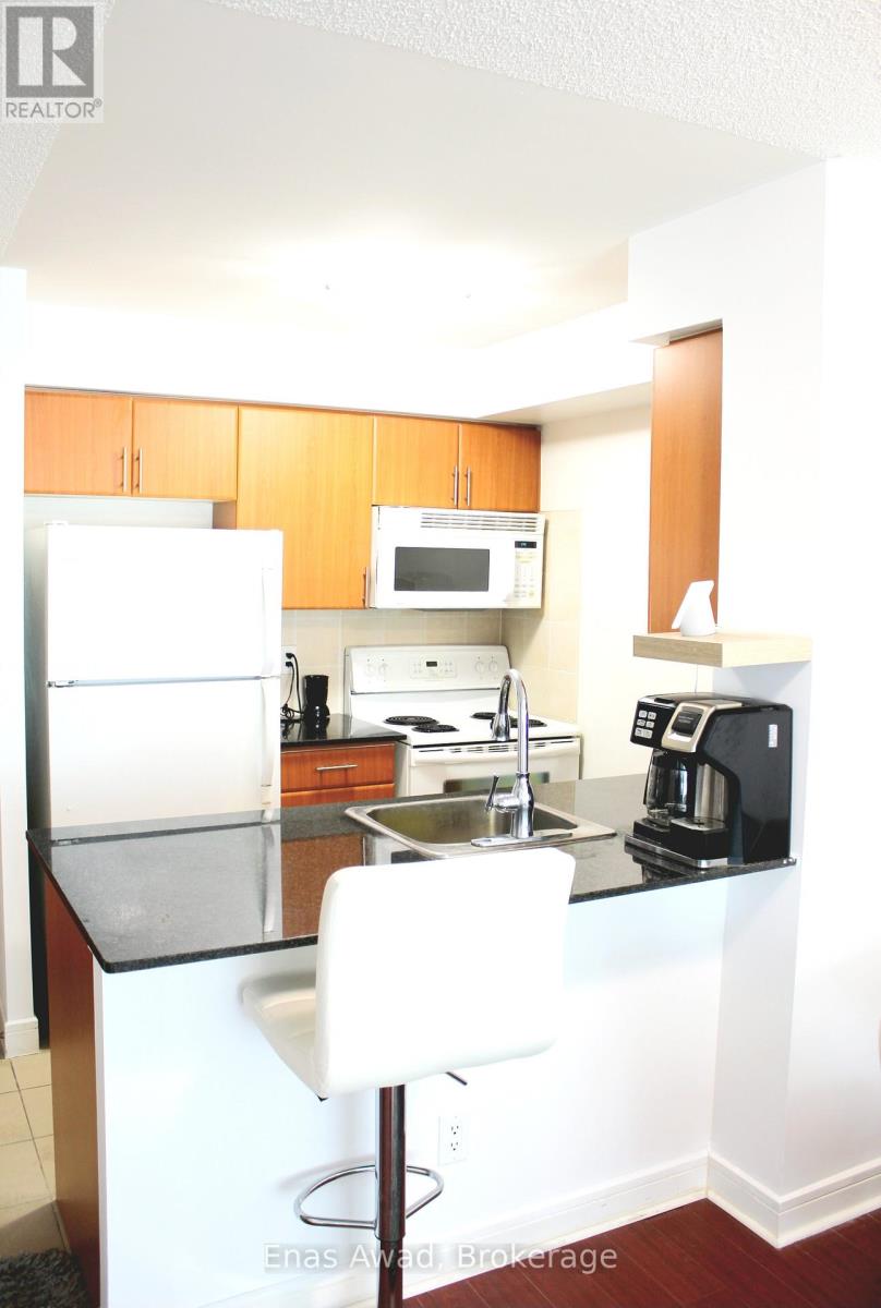 2103 - 35 Bales Avenue, Toronto, Ontario  M2N 7L7 - Photo 18 - C12652098