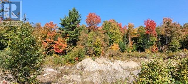 669 Rye Road, Parry Sound, Ontario  P0A 1X0 - Photo 35 - X12353410