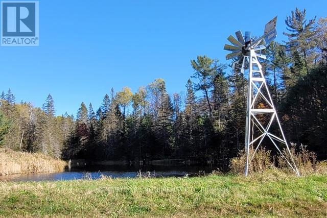 669 Rye Road, Parry Sound, Ontario  P0A 1X0 - Photo 27 - X12353410