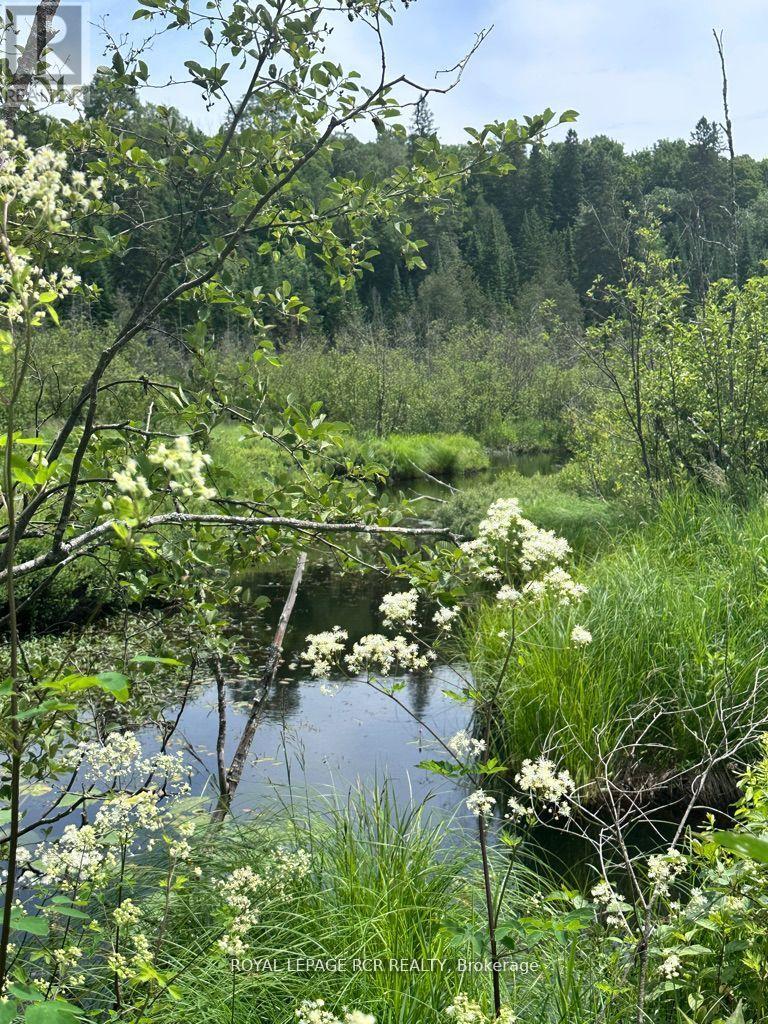 0 Pt Lt 6 Con 9, Highlands East, Ontario  K0M 1R0 - Photo 1 - X12652162