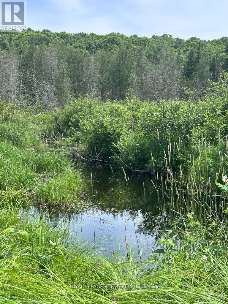 0 Pt Lt 6 Con 9, Highlands East, Ontario  K0M 1R0 - Photo 3 - X12652162