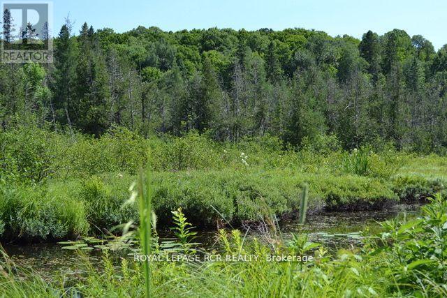 0 Pt Lt 6 Con 9, Highlands East, Ontario  K0M 1R0 - Photo 6 - X12652162