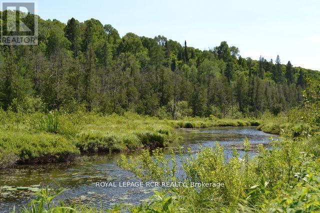 0 Pt Lt 6 Con 9, Highlands East, Ontario  K0M 1R0 - Photo 8 - X12652162