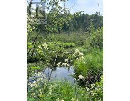 0 PT LT 6 CON 9, Highlands East, Ontario