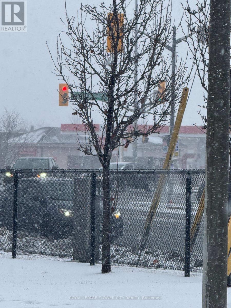 16 Langdale Crescent, Brampton, Ontario  L6Y 4S2 - Photo 12 - W12649530