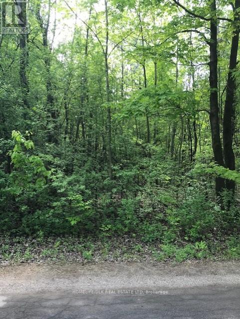 0 Graham Lake Road, Front Of Yonge, Ontario  K0E 1R0 - Photo 1 - X12652196