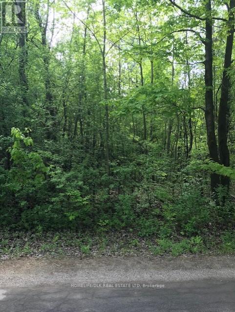 0 Graham Lake Road, Front Of Yonge, Ontario  K0E 1R0 - Photo 3 - X12652196