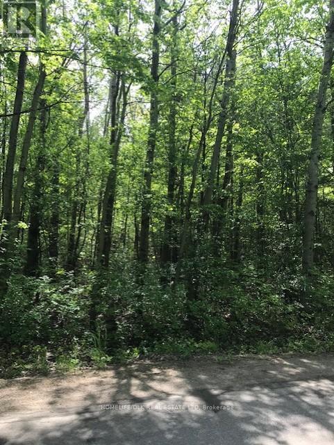 0 Graham Lake Road, Front Of Yonge, Ontario  K0E 1R0 - Photo 4 - X12652196