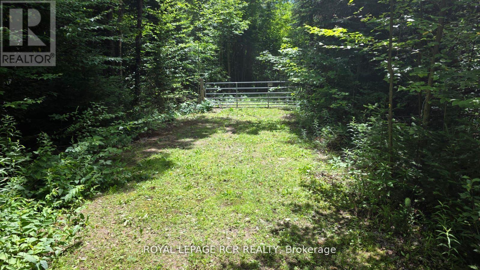 Pt Lot 6 Con 10 Monmouth Madill Road, Highlands East, Ontario  K0M 1R0 - Photo 2 - X12652172