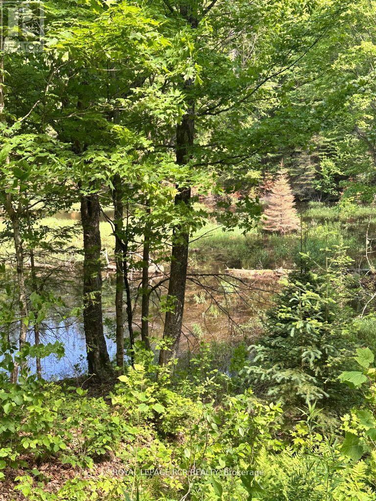 Pt Lot 6 Con 10 Monmouth Madill Road, Highlands East, Ontario  K0M 1R0 - Photo 5 - X12652172