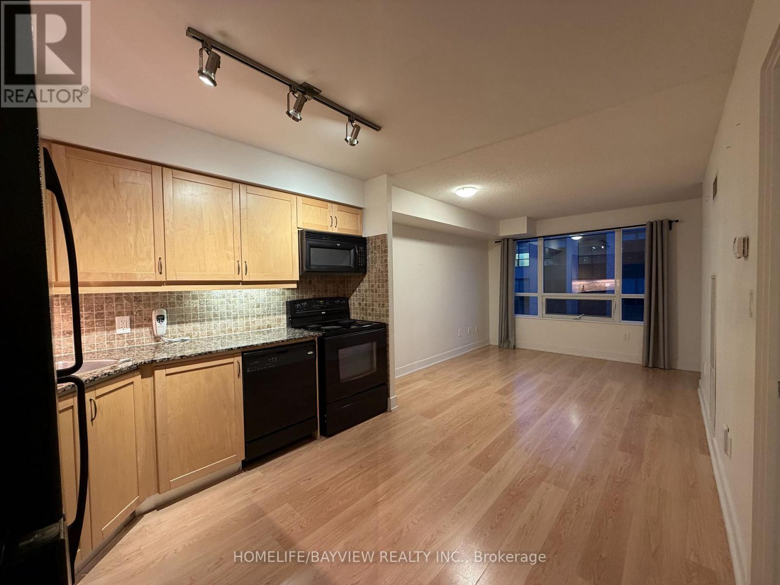 1613 - 20 Blue Jays Way, Toronto, Ontario  M5V 3W6 - Photo 5 - C12591498