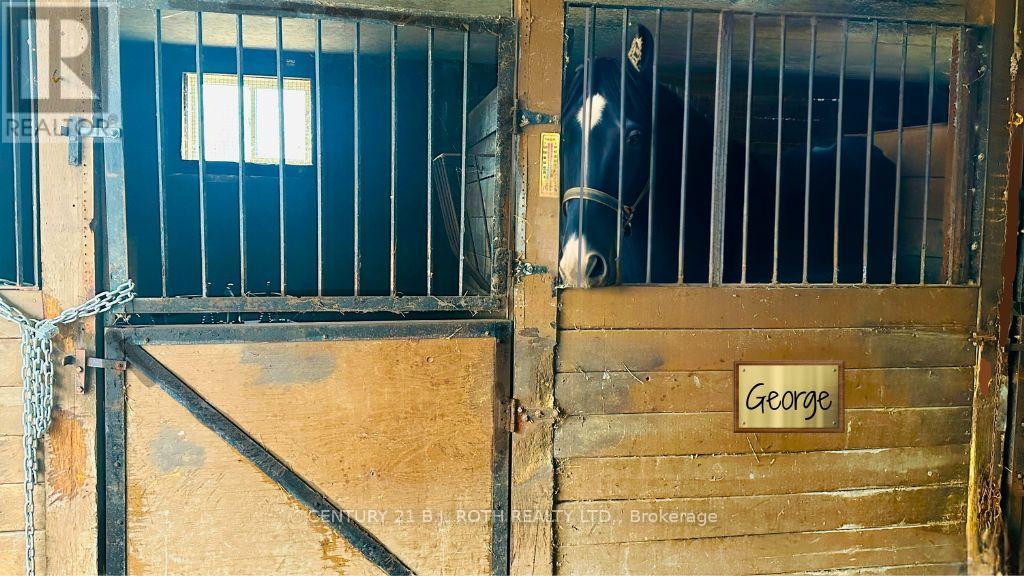 159 11 Line N, Oro-Medonte, Ontario  L0L 1T0 - Photo 5 - S12102994