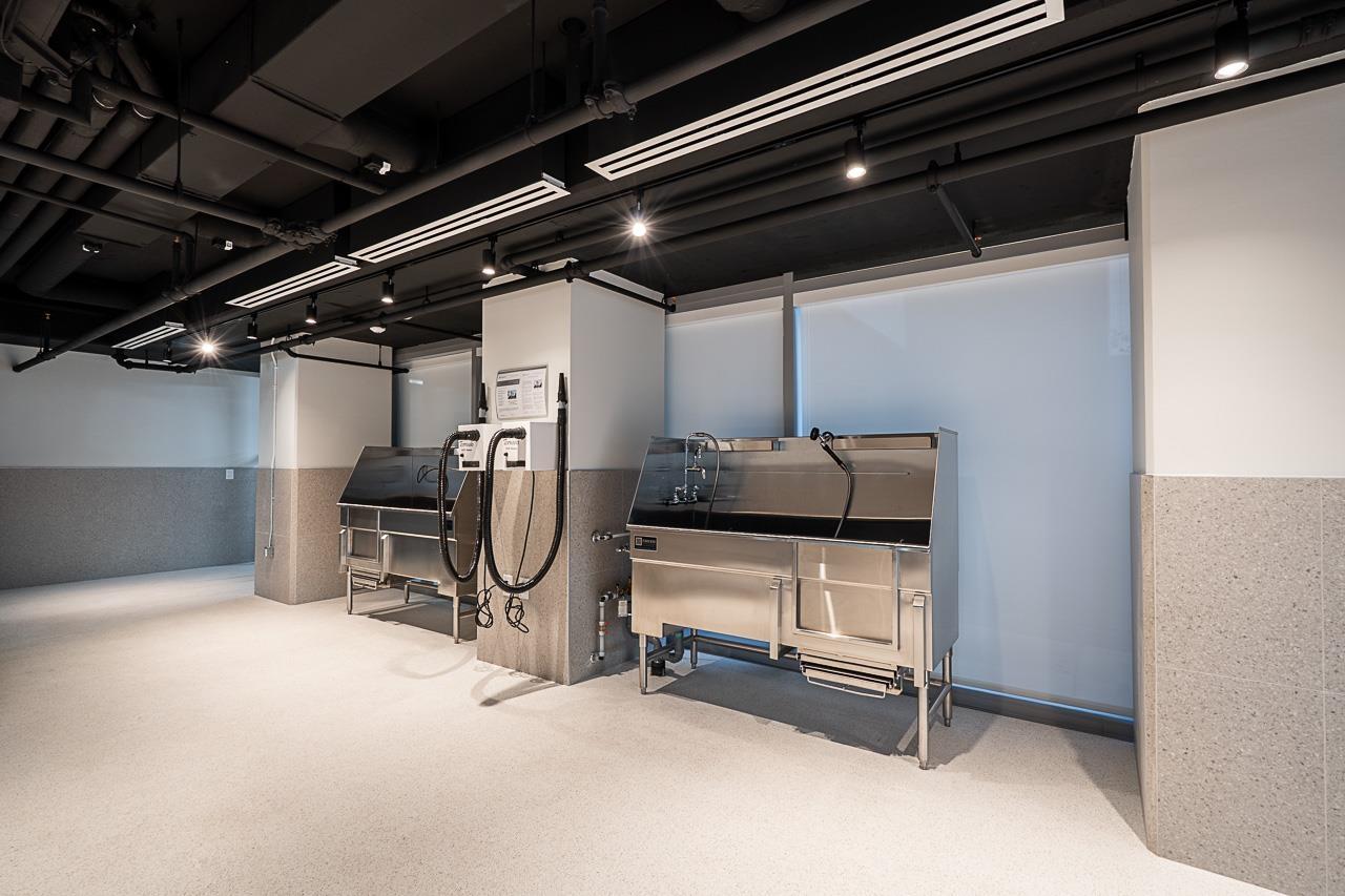 3808 13573 98a Avenue, Surrey, British Columbia  V3T 0X1 - Photo 30 - R3074320