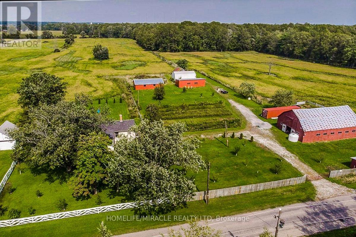 970 Carl Road, Welland, Ontario  L0S 1K0 - Photo 43 - X12652332