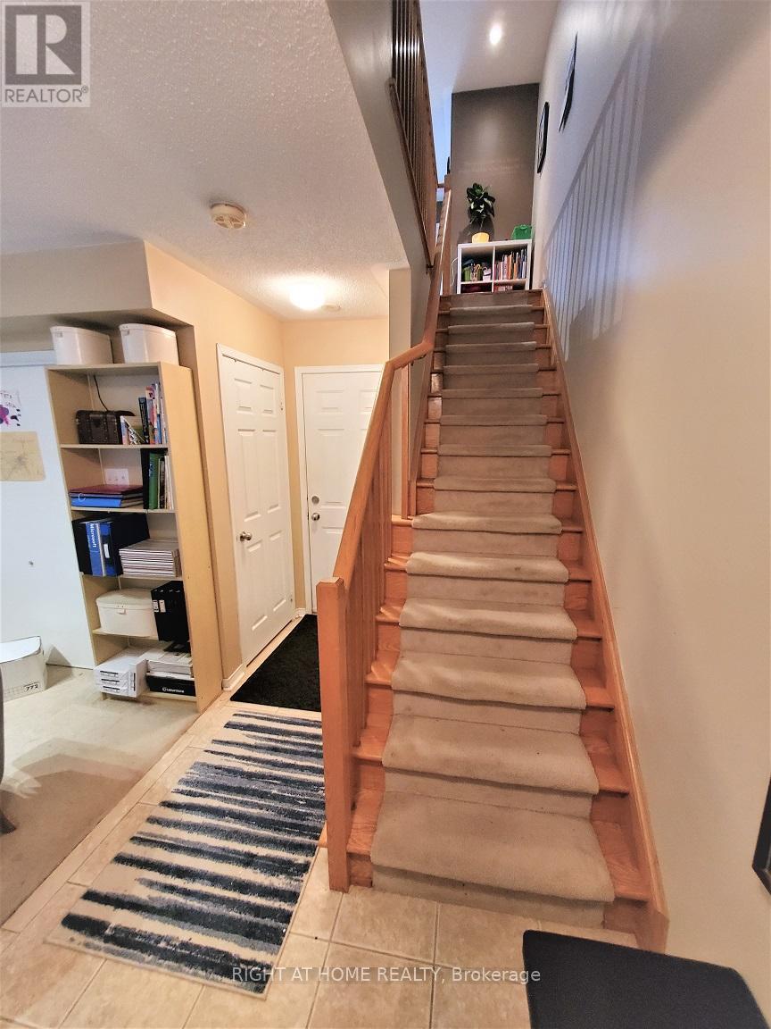 3 - 161 Twelfth Street, Toronto, Ontario  M8V 4E2 - Photo 16 - W12652582