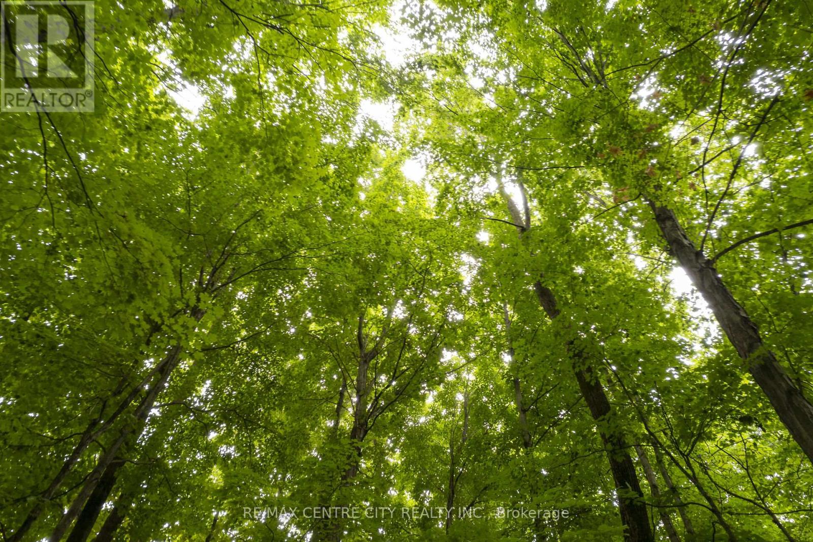 Pt Lt 6 Concession 8 Road, Elizabethtown-Kitley, Ontario  K7A 4S5 - Photo 23 - X12652684