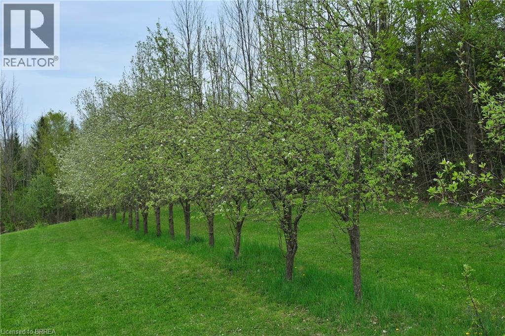 546299 Sideroad 4b, Kimberley, Ontario  N0C 1G0 - Photo 35 - 40795228