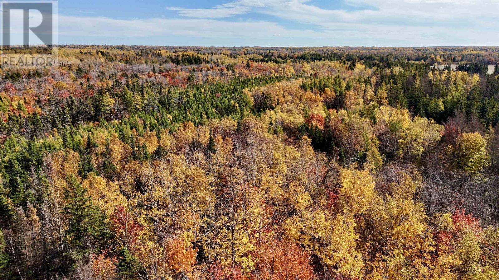 10509 Rte 14, Roseville, Prince Edward Island  C0B 1K0 - Photo 12 - 202529750