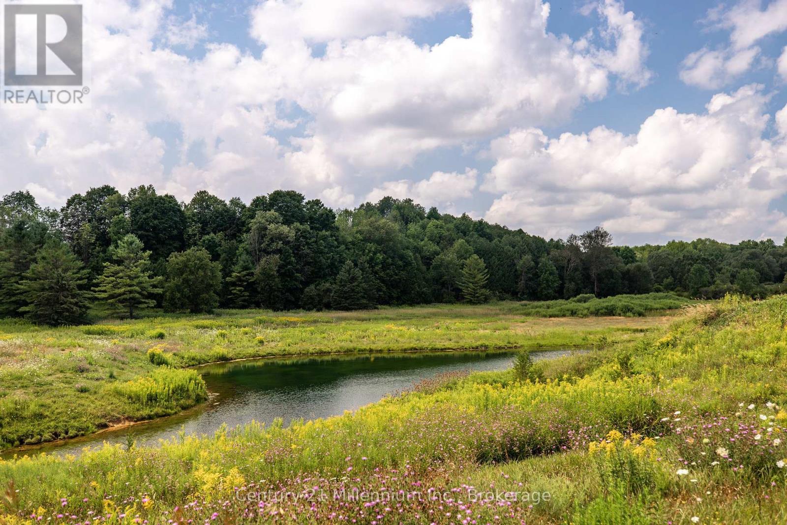 401345 Grey Road 4, West Grey, Ontario N4N 3B8 - Photo 46 - X12540658