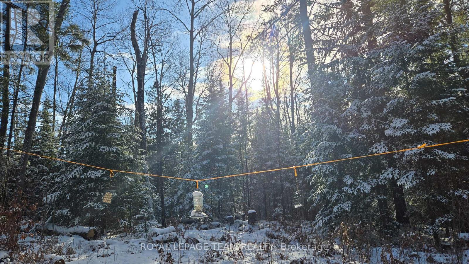 00 Highway 41 Highway, Bonnechere Valley, Ontario  K0J 1T0 - Photo 2 - X12281701