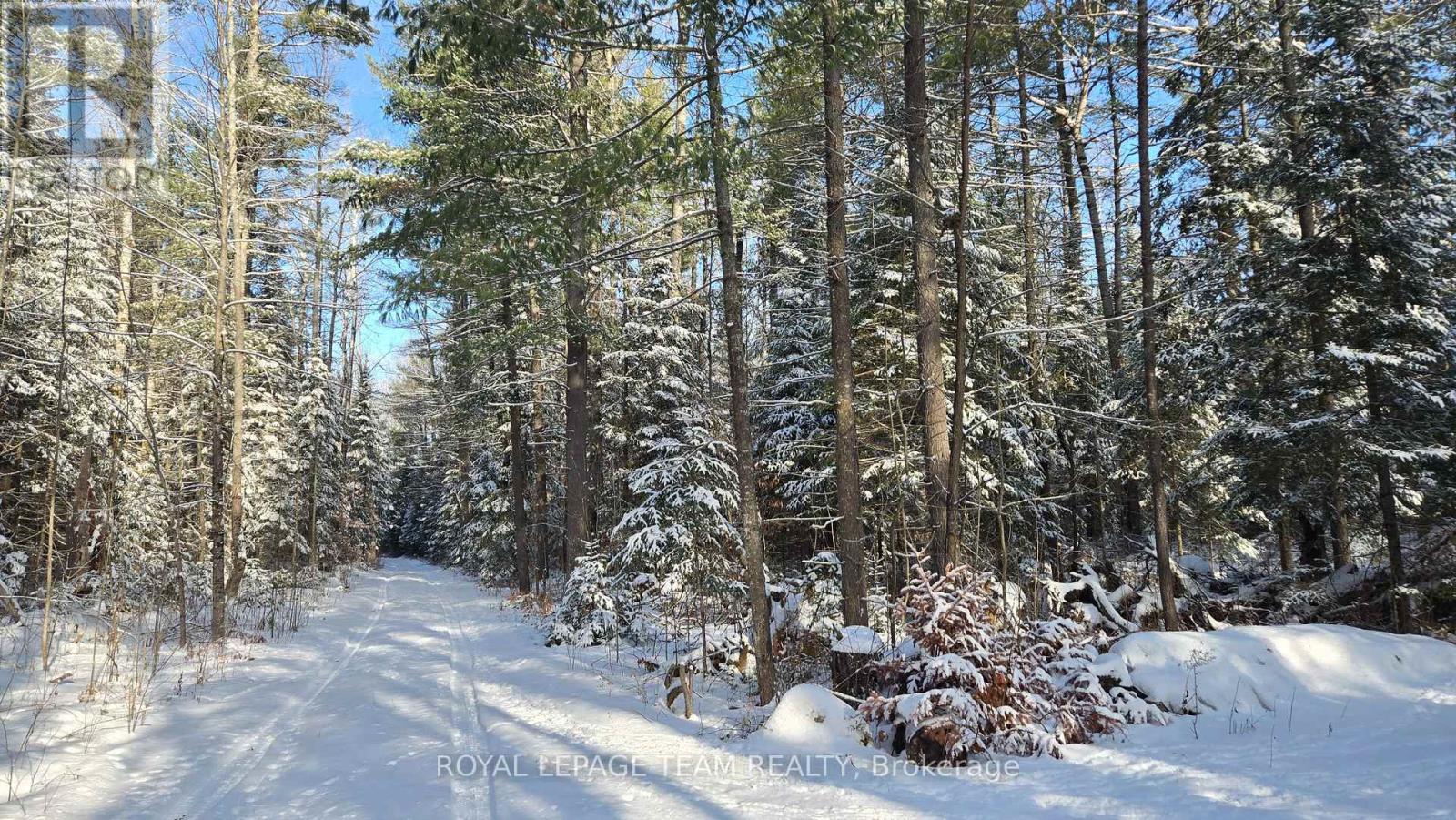 00 Highway 41 Highway, Bonnechere Valley, Ontario  K0J 1T0 - Photo 3 - X12281701