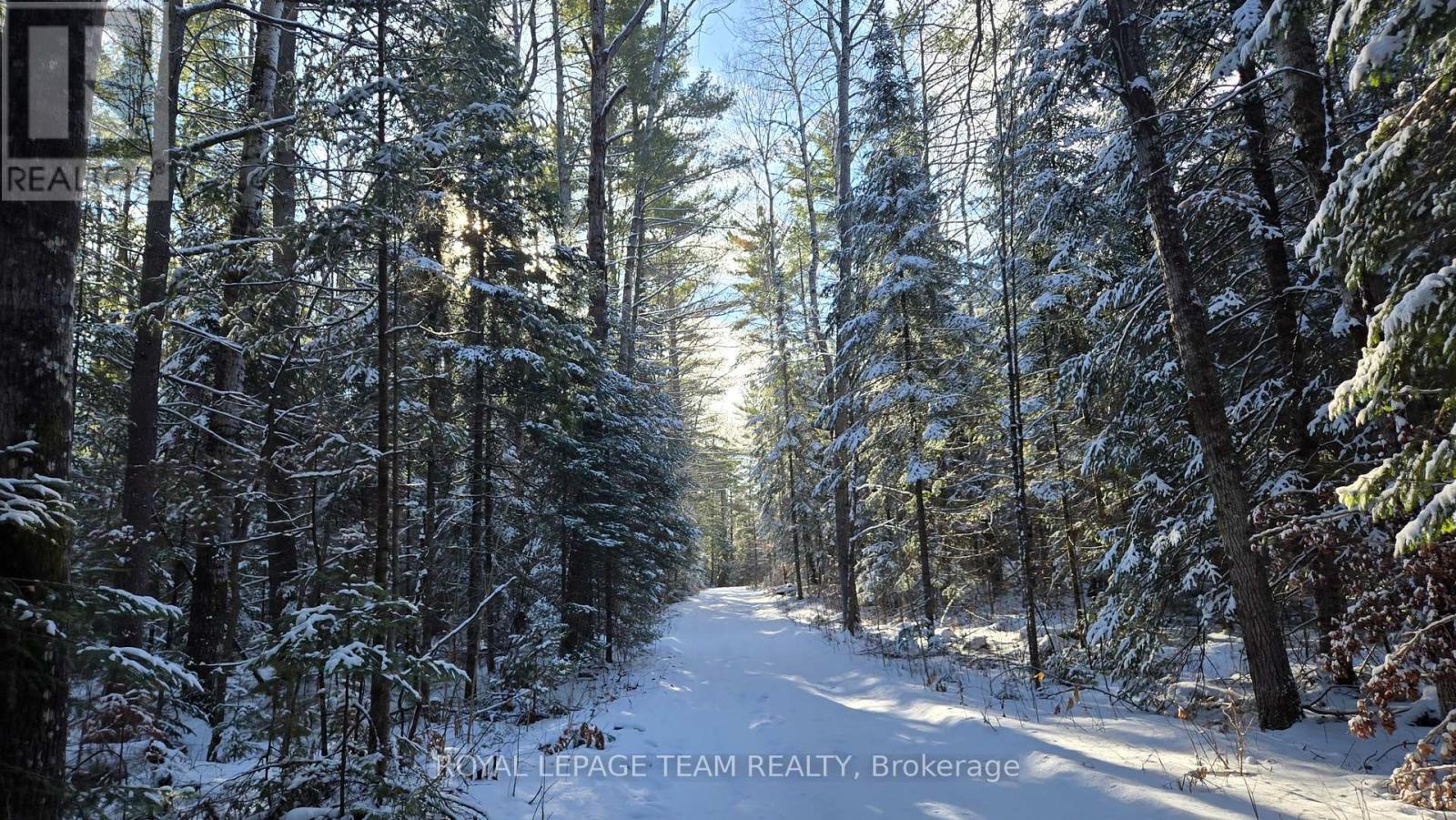 00 Highway 41 Highway, Bonnechere Valley, Ontario  K0J 1T0 - Photo 7 - X12281701