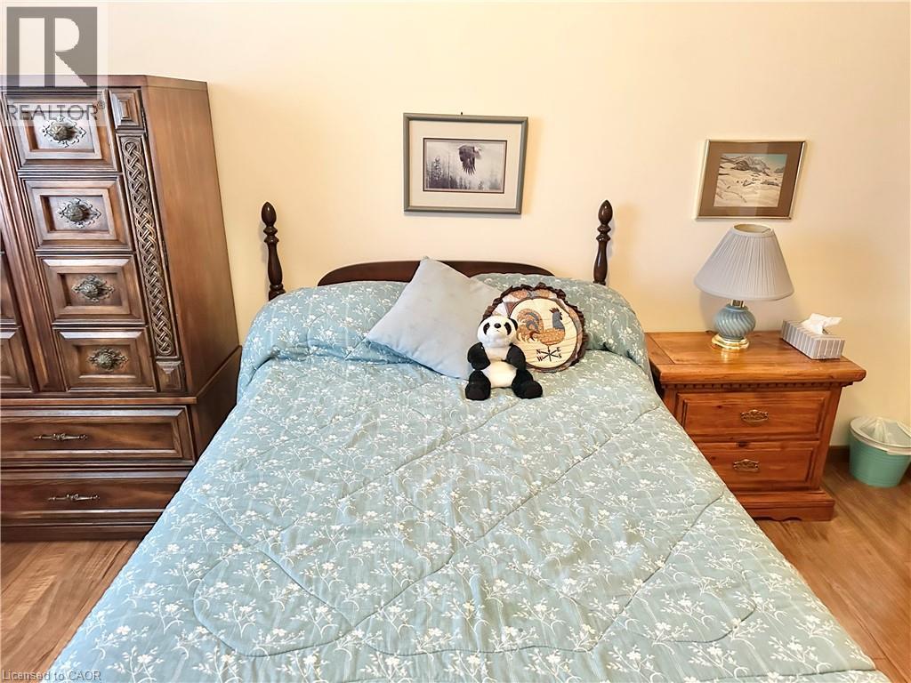 248 Howard Street, Waterford, Ontario  N0E 1Y0 - Photo 24 - 40794261