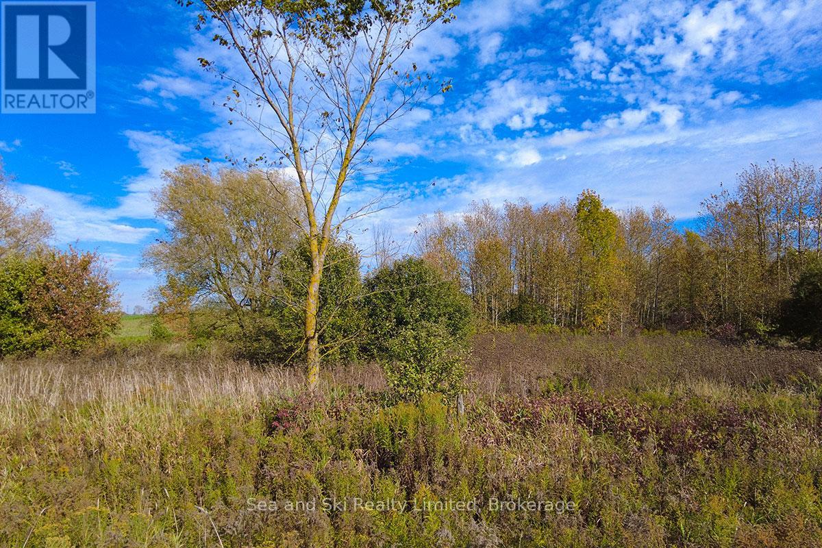 31313 Grey Road 14 Road, Southgate, Ontario N0G 1N0 - Photo 21 - X12465495