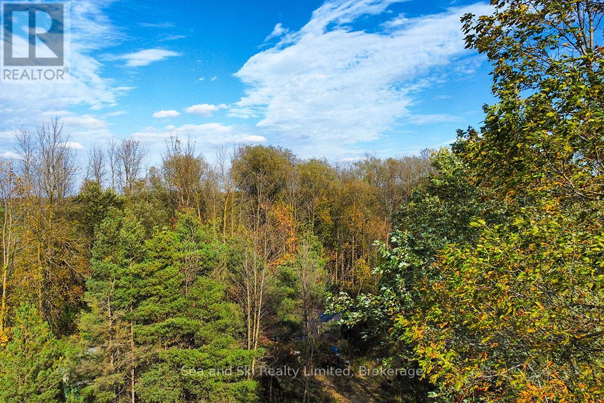 31313 Grey Road 14 Road, Southgate, Ontario N0G 1N0 - Photo 22 - X12465495