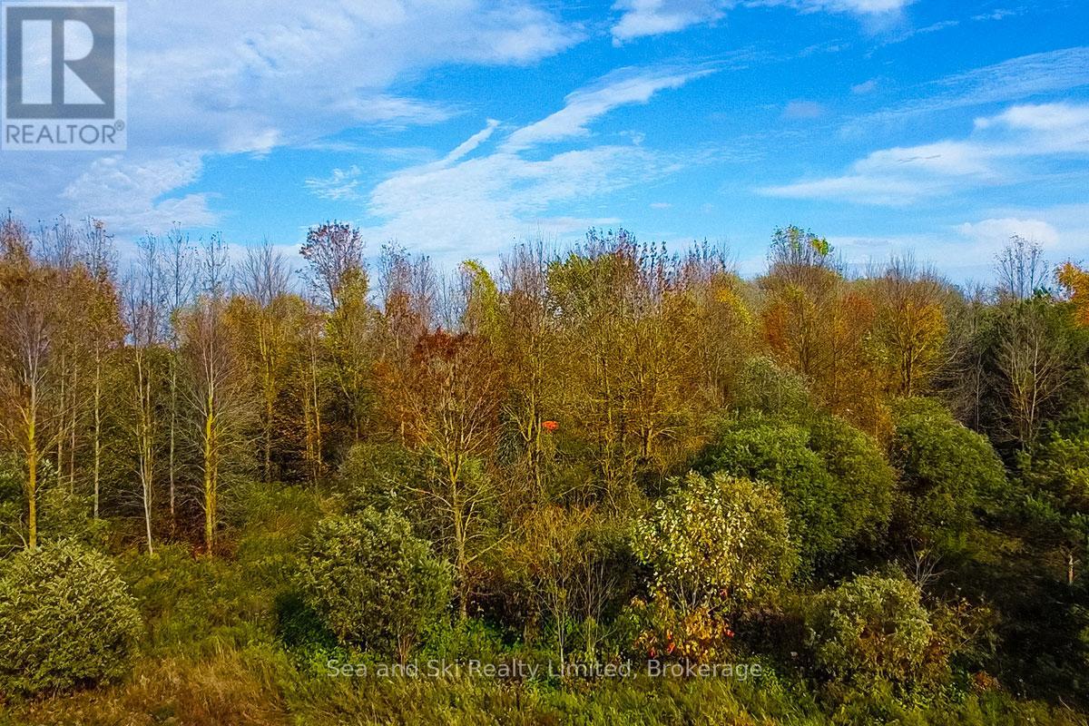 31313 Grey Road 14 Road, Southgate, Ontario N0G 1N0 - Photo 9 - X12465495