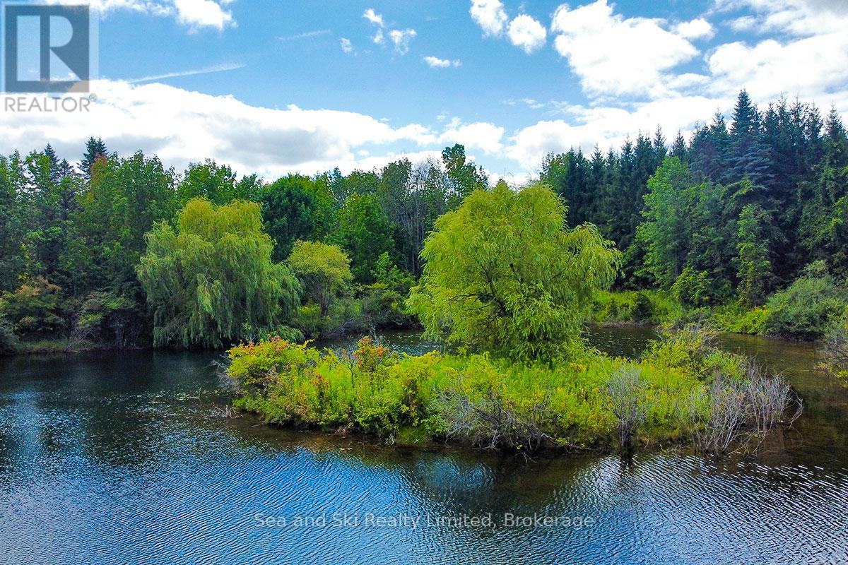195908 Grey Road 7 Road S, Grey Highlands, Ontario  N0C 1G0 - Photo 21 - X12376388