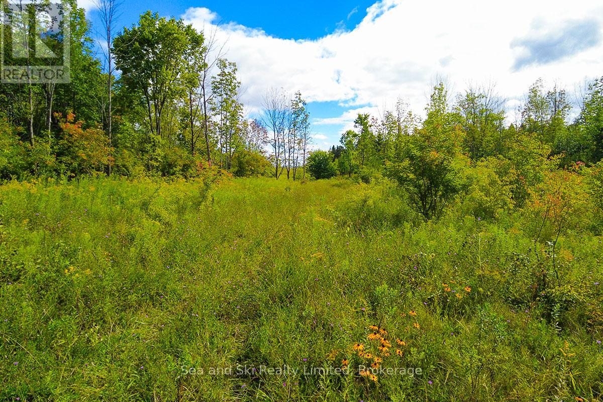 195908 Grey Road 7 Road S, Grey Highlands, Ontario  N0C 1G0 - Photo 38 - X12376388
