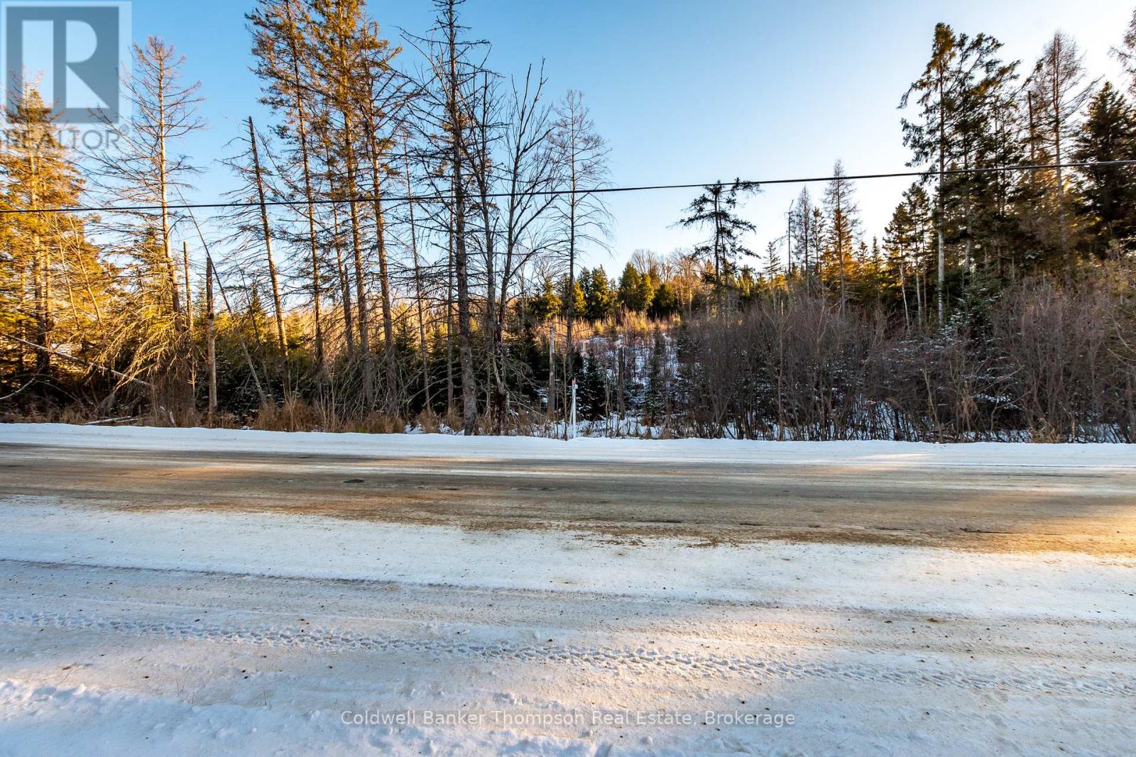 223 Peggs Mountain Road, Armour, Ontario  P0A 1C0 - Photo 18 - X12428755