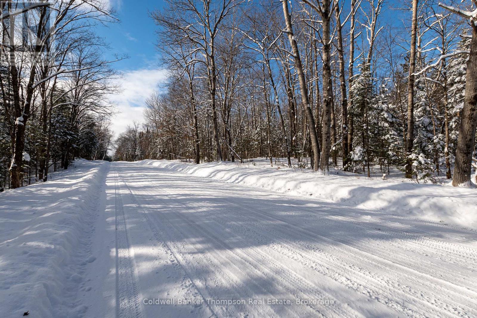 N/a Fern Glen Road, Mcmurrich/monteith, Ontario  P0A 1Y0 - Photo 4 - X12522196