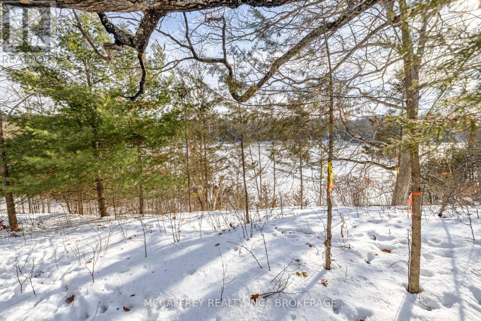 0 James Wilson Road, Frontenac, Ontario  K0H 1W0 - Photo 27 - X12653194