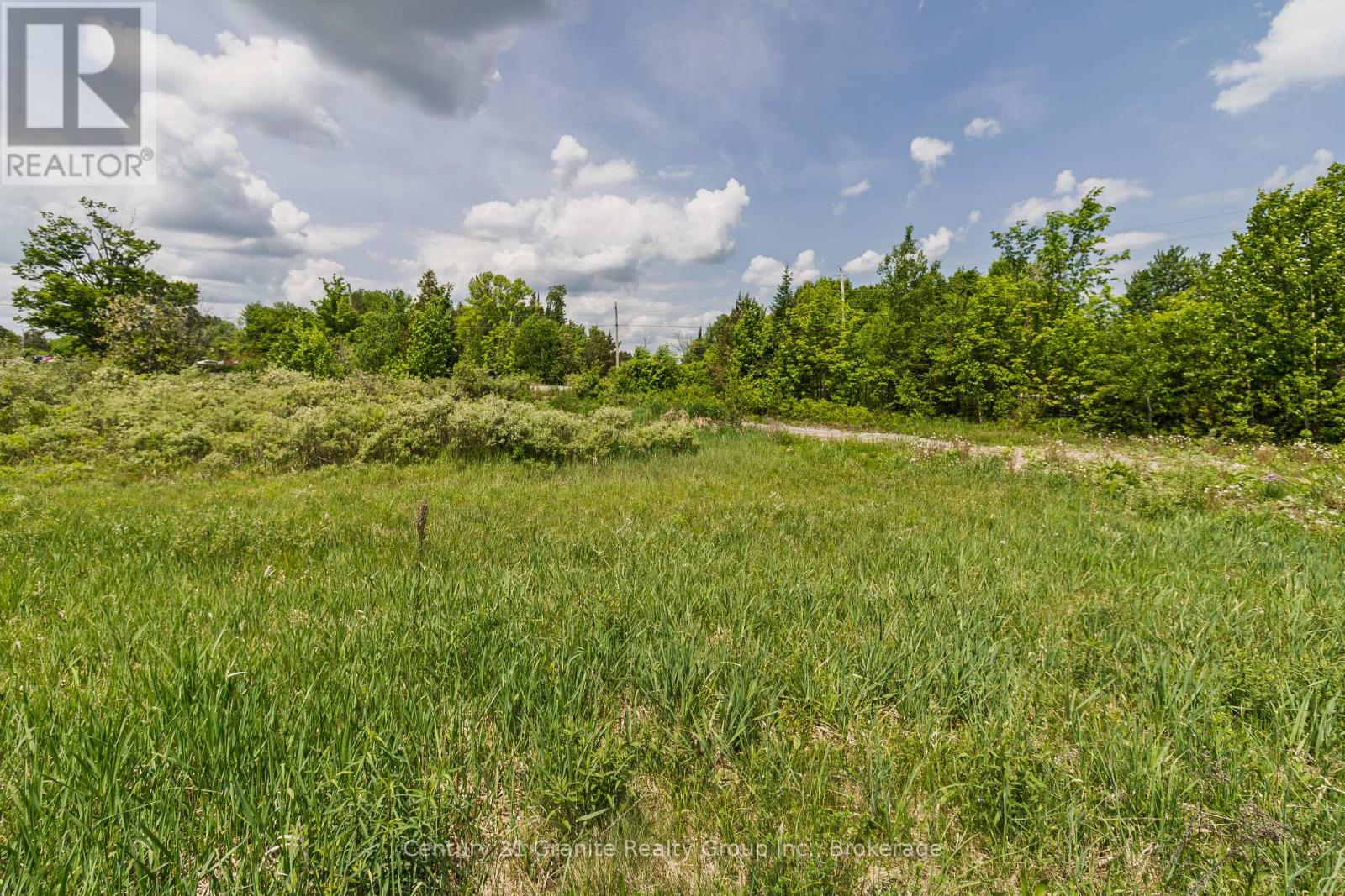 0 Highway 118, Highlands East, Ontario  K0L 2Y0 - Photo 9 - X12653202