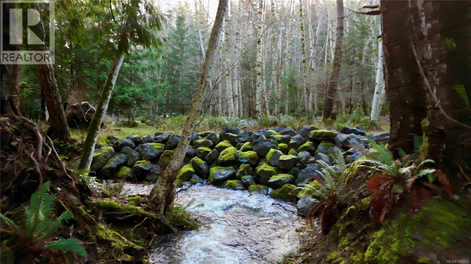 8875 Owl Cres, Denman Island, British Columbia  V0R 1T0 - Photo 50 - 1022263