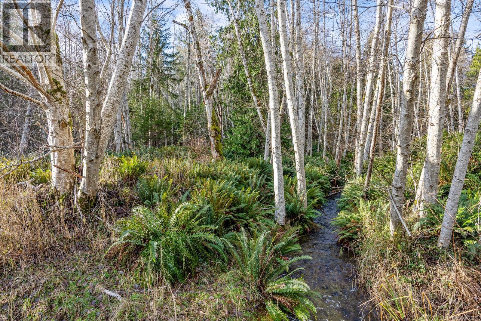 8875 Owl Cres, Denman Island, British Columbia  V0R 1T0 - Photo 51 - 1022263