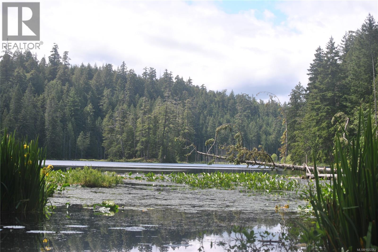 8875 Owl Cres, Denman Island, British Columbia  V0R 1T0 - Photo 58 - 1022263