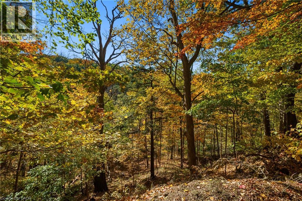 75 Terrace Drive, Dundas, Ontario  L9H 3X1 - Photo 47 - 40779189