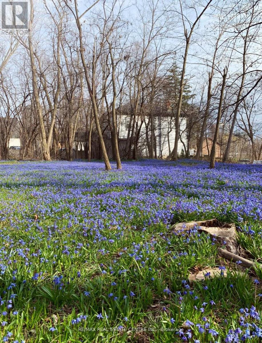 A - 68 Scott Street, Brampton, Ontario  L6V 1S3 - Photo 33 - W12653316