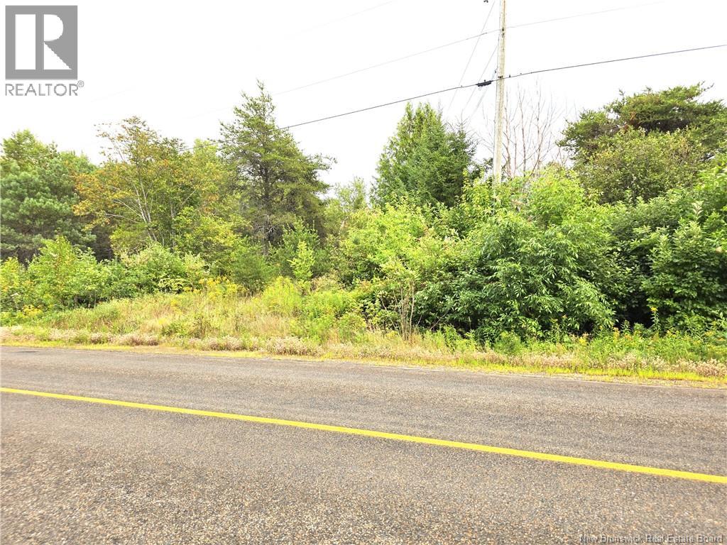 1289 Scenic Narrows Boulevard, Cambridge-Narrows, New Brunswick  E4C 2N5 - Photo 12 - NB131511