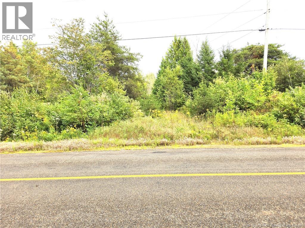 1289 Scenic Narrows Boulevard, Cambridge-Narrows, New Brunswick  E4C 2N5 - Photo 13 - NB131511