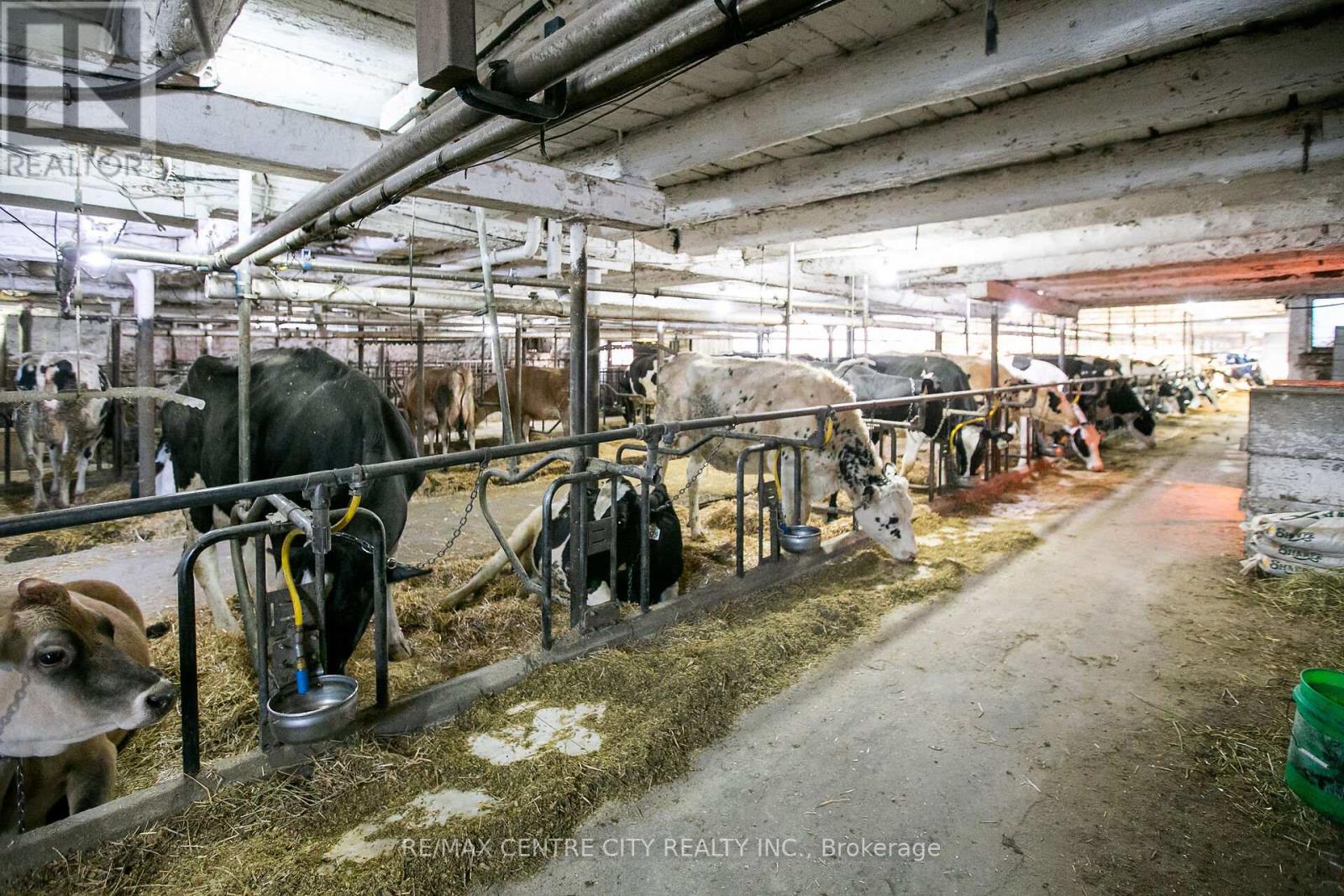 197166 Grey Road 7, Meaford, Ontario  N4L 1W7 - Photo 31 - X12653372