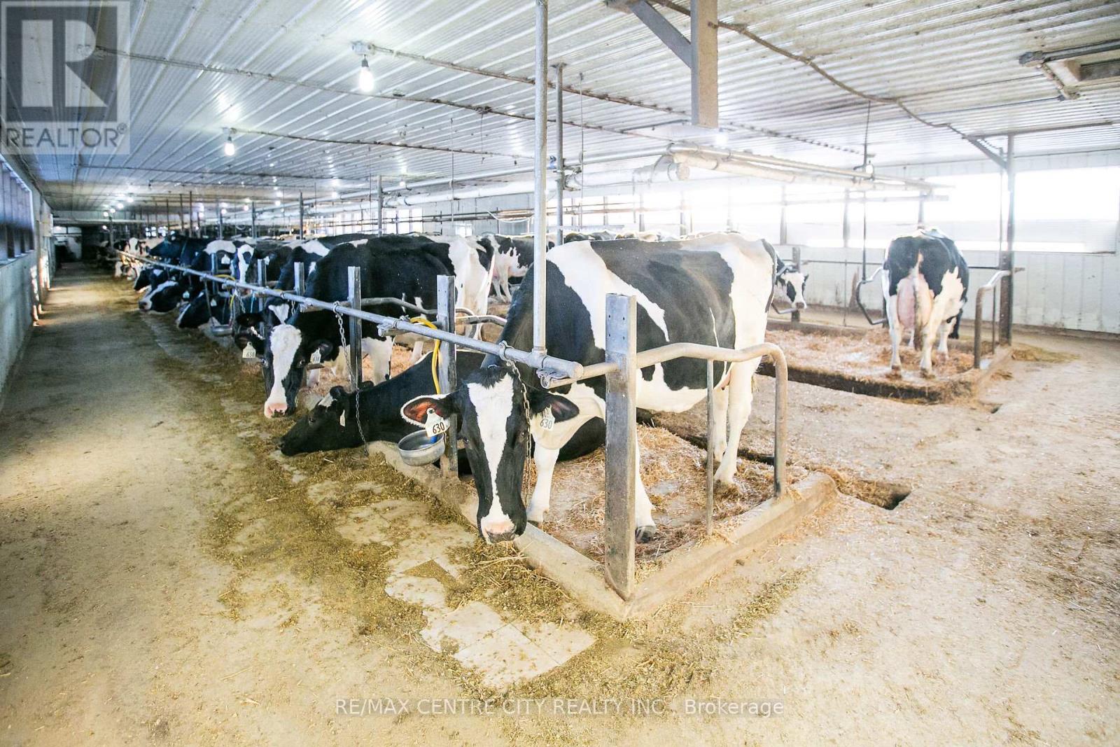 197166 Grey Road 7, Meaford, Ontario  N4L 1W7 - Photo 34 - X12653372