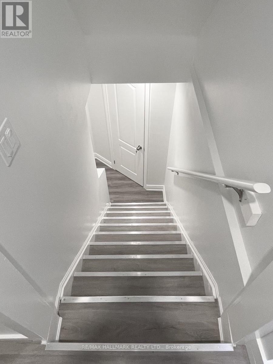 BASEMENT - 24 SAN FELICE LANE, Hamilton, Ontario