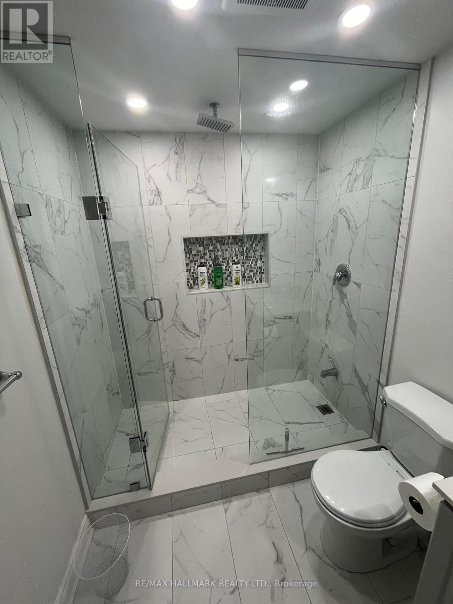 Basement - 24 San Felice Lane, Hamilton, Ontario  L9B 0B5 - Photo 13 - X12653550