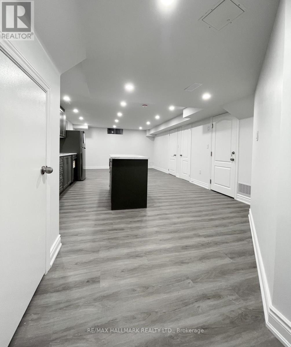 Basement - 24 San Felice Lane, Hamilton, Ontario  L9B 0B5 - Photo 3 - X12653550