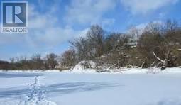 604 - 20 Brin Drive, Toronto, Ontario  M8X 0B2 - Photo 29 - W12653622