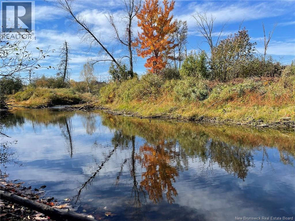 205 South Napan Road, Napan, New Brunswick  E1N 4V9 - Photo 16 - NB127897